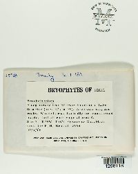 Image Associated With the Occurrence