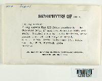 Image Associated With the Occurrence