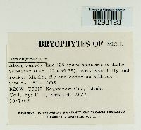 Image Associated With the Occurrence