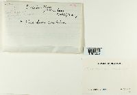 Dichodontium pellucidum image