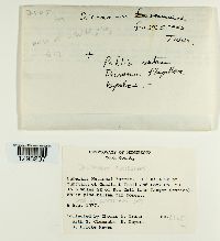 Image Associated With the Occurrence