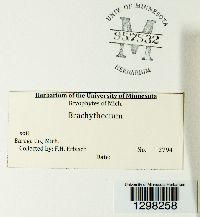 Image Associated With the Occurrence