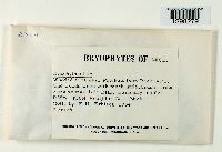 Image Associated With the Occurrence