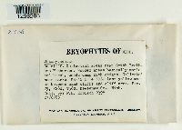 Image Associated With the Occurrence