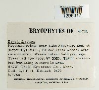 Image Associated With the Occurrence