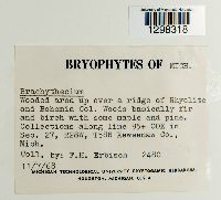 Image Associated With the Occurrence