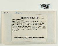 Image Associated With the Occurrence