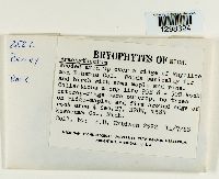 Image Associated With the Occurrence