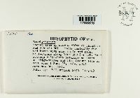 Image Associated With the Occurrence