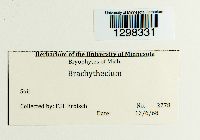 Image Associated With the Occurrence