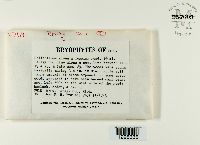 Image Associated With the Occurrence