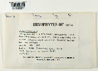 Image Associated With the Occurrence