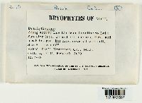 Image Associated With the Occurrence