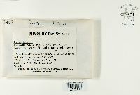 Image Associated With the Occurrence