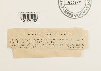 Image Associated With the Occurrence