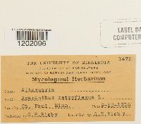 Image Associated With the Occurrence