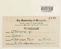 Image Associated With the Occurrence