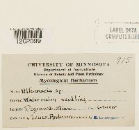 Image Associated With the Occurrence