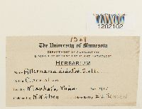 Media resource of Alternaria dianthi