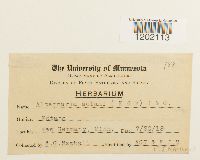 Image Associated With the Occurrence