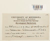 Image Associated With the Occurrence