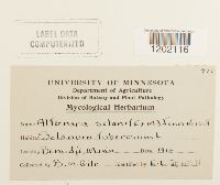 Image Associated With the Occurrence