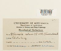 Image Associated With the Occurrence