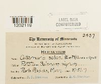 Image Associated With the Occurrence