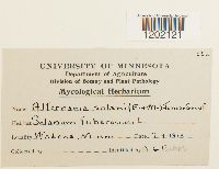 Image Associated With the Occurrence