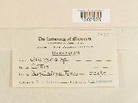 Image Associated With the Occurrence