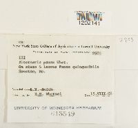 Image Associated With the Occurrence