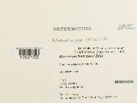 Image Associated With the Occurrence