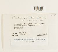 Image Associated With the Occurrence