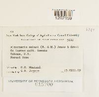 Image Associated With the Occurrence