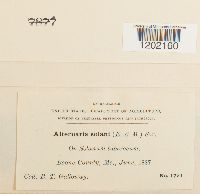 Image Associated With the Occurrence