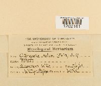 Image Associated With the Occurrence