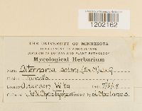 Image Associated With the Occurrence