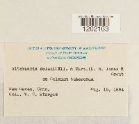 Image Associated With the Occurrence