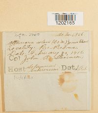 Image Associated With the Occurrence