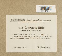 Image Associated With the Occurrence