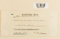 Image Associated With the Occurrence