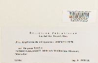 Image Associated With the Occurrence