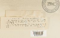 Image Associated With the Occurrence