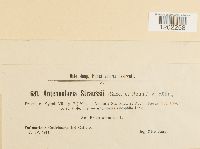 Image Associated With the Occurrence