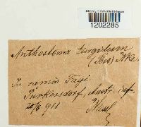 Image Associated With the Occurrence