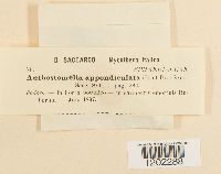 Image Associated With the Occurrence