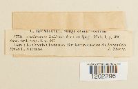 Image Associated With the Occurrence