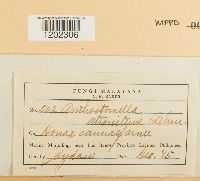 Image Associated With the Occurrence