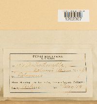 Image Associated With the Occurrence