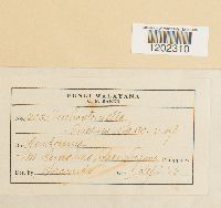 Image Associated With the Occurrence